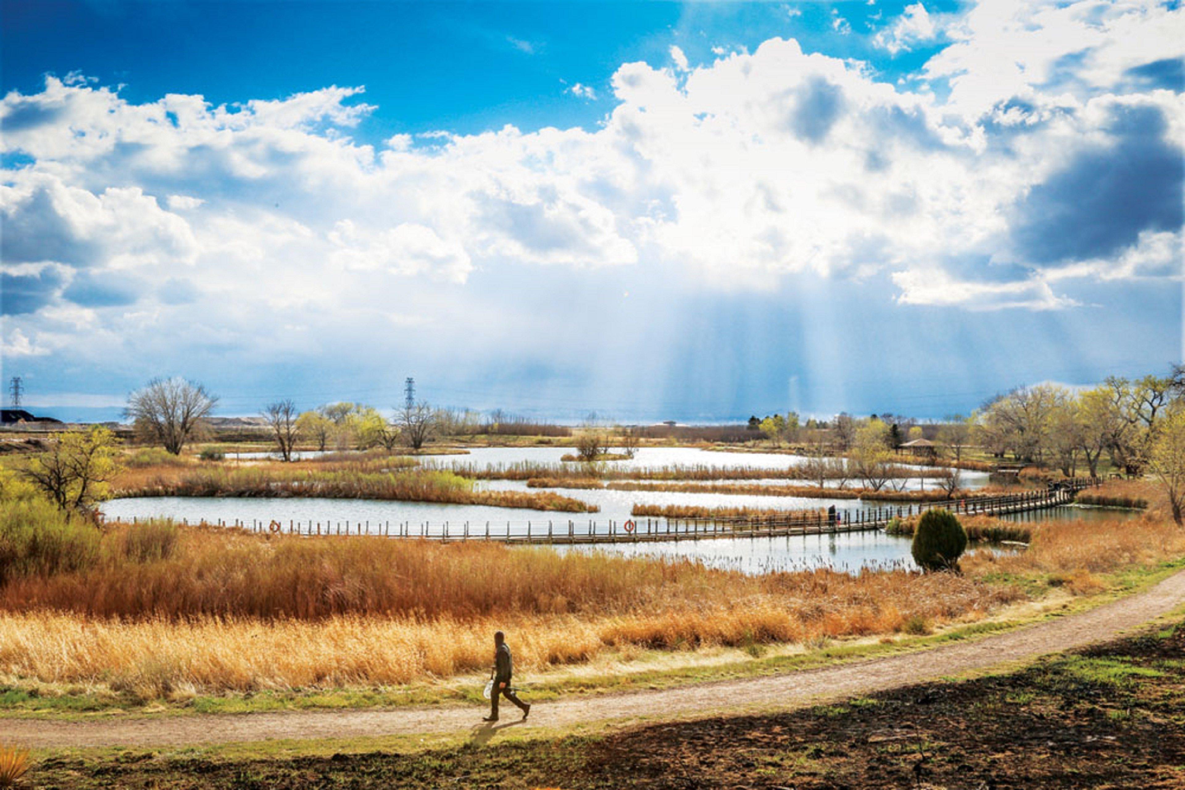Holiday Inn Denver East By Ihg Ngoại thất bức ảnh